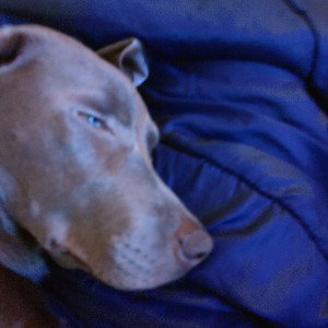 Let sleeping dogs , yep.