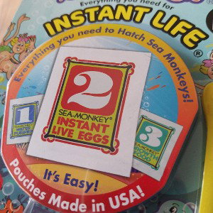 Sea Monkeys