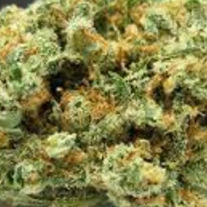 ENDO FLAVOURS DAT CHRONIC 