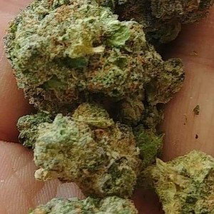 Endo flavours dat chronic attack 