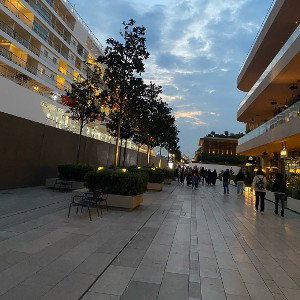 Şahlanacak Bil ki Kuvvetin