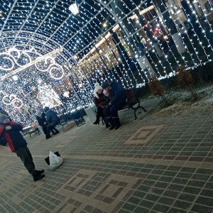 от болды в колекцию