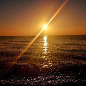 Shine (20:31:30)