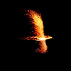 Phoenix Phenam - Revision 