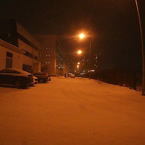 есть не боты?