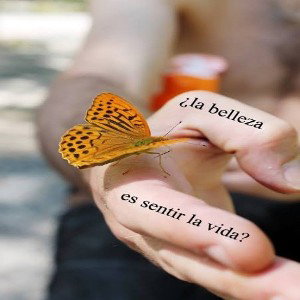 Sentir la vida...