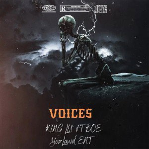 voices 