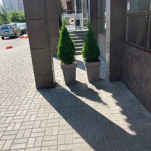 личности 