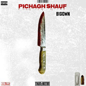 Pichagh Shuf _BIGown _Diss Back_