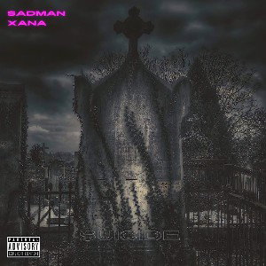 SADMÆN XANA - Look for you Look for me (Live Audio)