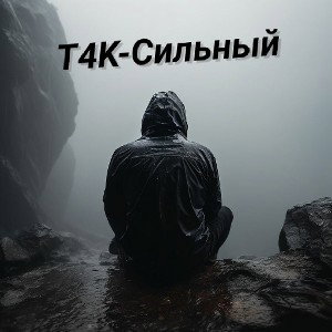 T4K-Сильный