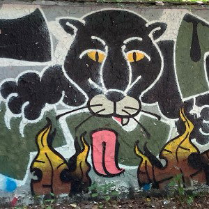 Dawaj na drina