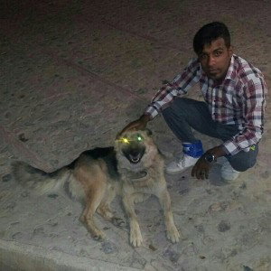 آرش افلاک 