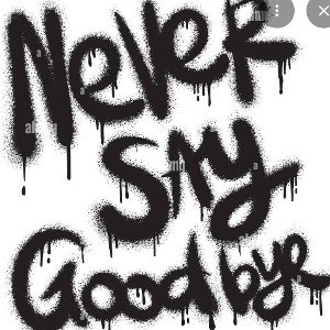 Never Bye Featuring: Goza