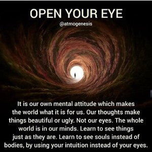 look into my life (pt 2/3)