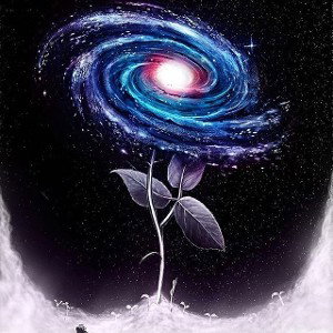 суета🌜🌚🌛