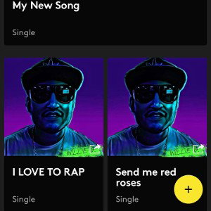 I am addicted to rapping by willie g