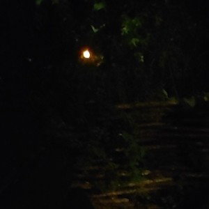 Le Consentement Du Calbar