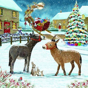 season greetings