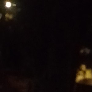 spys