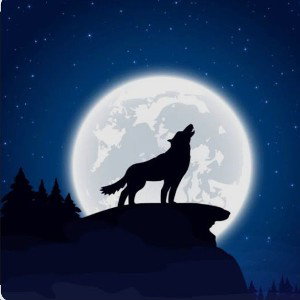Call Of The Moon 