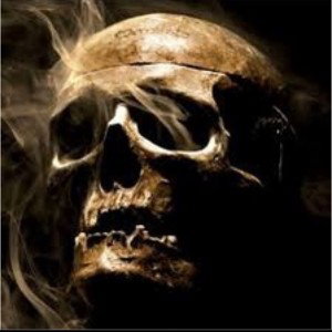 Actin Suspect(Freestyle)