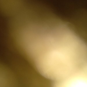 windfall (20:51)