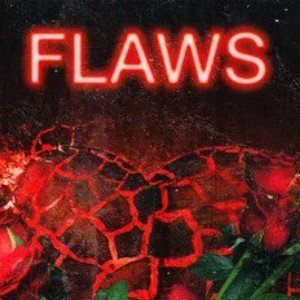 flaws