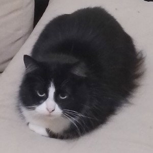 ФМЦП