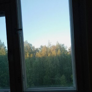 чет 
