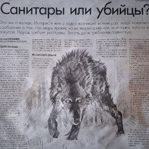 Очень страшное кино (13)