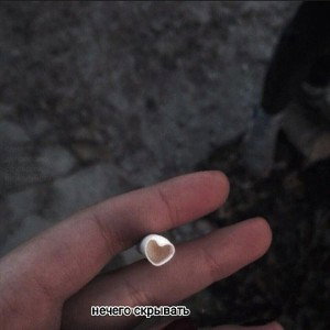 Нечего скрывать (2022)