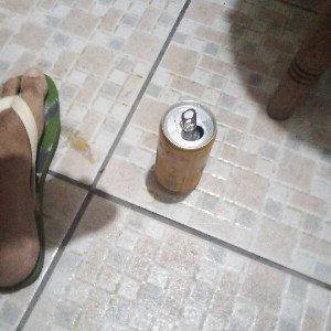 GZS_MC  Passsaro Sem Guia