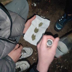 НЧВ