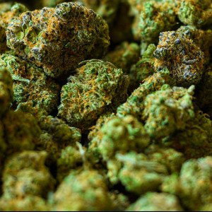 Weed My Baby