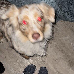Nuncaestarde