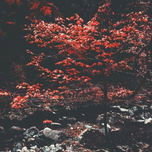 SAINT JOINT - Замкнутый круг (Demo)