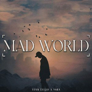 Team Ceejay Mad World ft Vaka