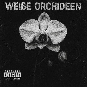  Weiße Orchideen