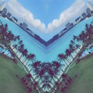 80' in the Palms