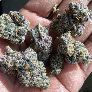 FAT PACKS 