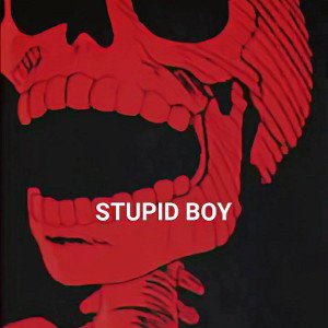 Stupid boy - Takara 