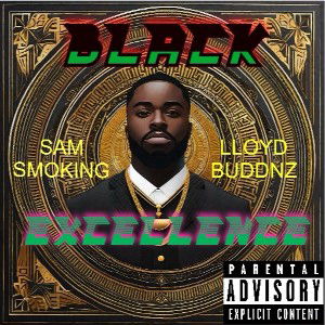 BLACK EXCELLENCE 