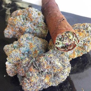 WEAK WEED FREESTYLE 