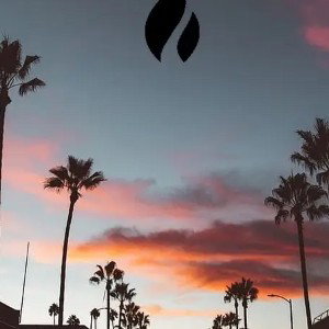 new track 