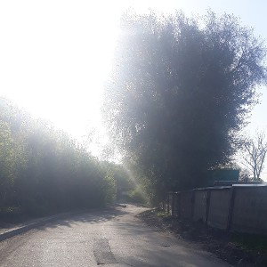В_дороге