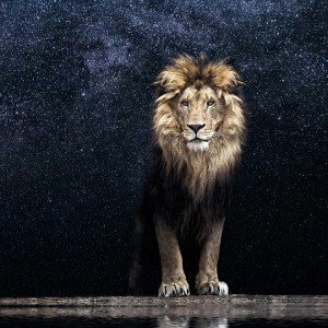 परेशान।_Rapper_Rex_lyrics_by_Rapper_Rex