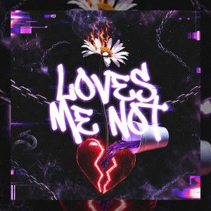 loves me not