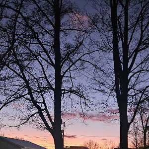 Homesick