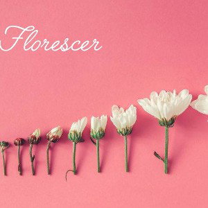 Florescer
